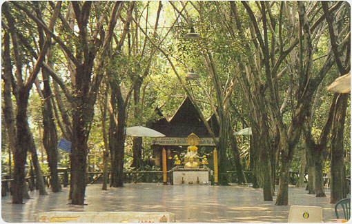 วัตถุประสงค์มูลนิธิสวนแก้ว ภาพที่ 1