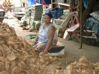 ผู้สูงอายุร่วมกิจกรรมช่วยสังคม 1
